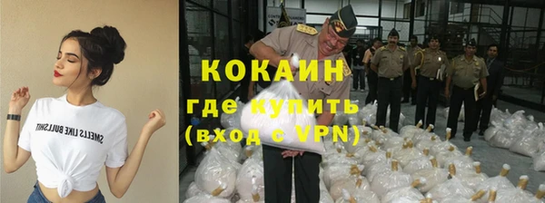 прущие грибы Абаза