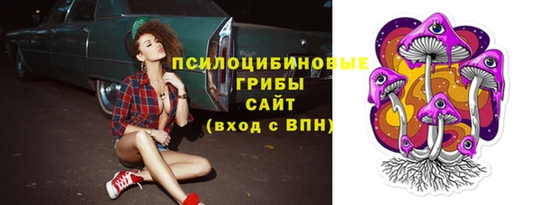 винт Абинск