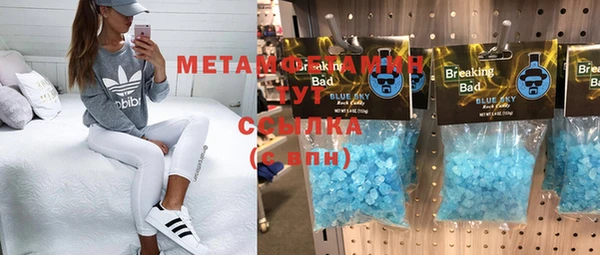 прущие грибы Абаза