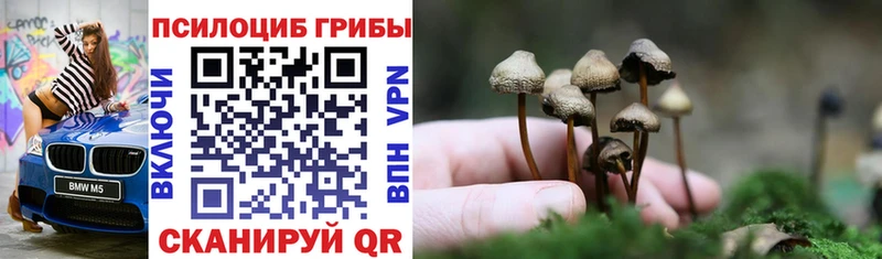 Галлюциногенные грибы Magic Shrooms  закладка  Ангарск 